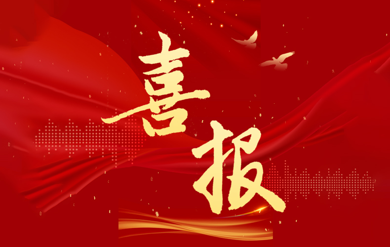 喜报 I 恭喜瑞林科技成功申报