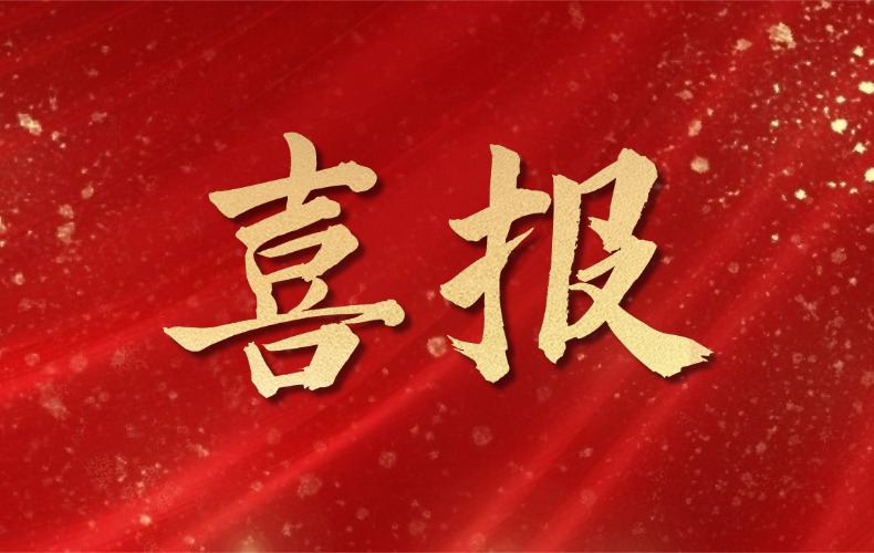 【重磅喜报】瑞林科技荣膺2026年度市级专精特新软件“名企”！